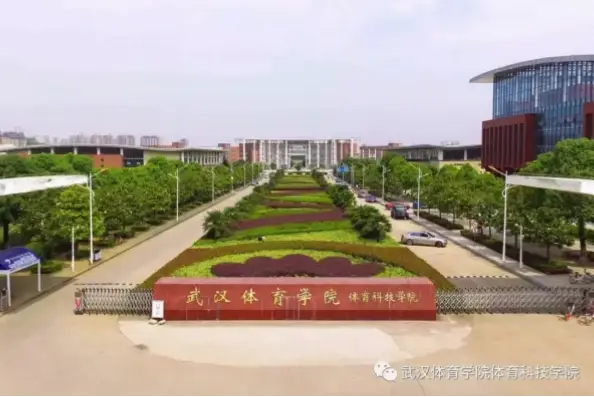 武汉体育学院体育科技学院：体育与科技融合的就业新选择